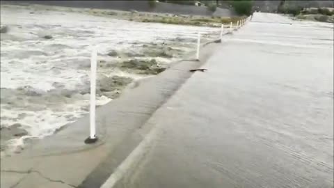 United States: Storm Hilary brings record 'life-threatening' rain to California