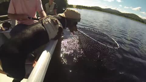 I Love to Fish, by Crusoe Celebrity Dachshund - GoPro DogCam Fishing - Song by Brad Paisley
