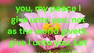 Peace I leave with you, my peace I give unto you John 14:27 #shorts