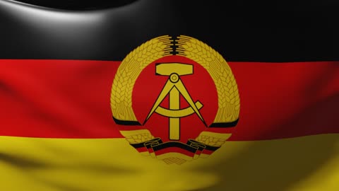 Flag of the DDR