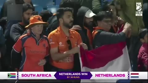 South Africa vs Netherlands Full Highlights | Cricket Highlights