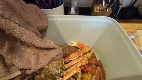Cooking Big SPIDERCRABS in a BAMBOO Steamer - Catch Clean Cook