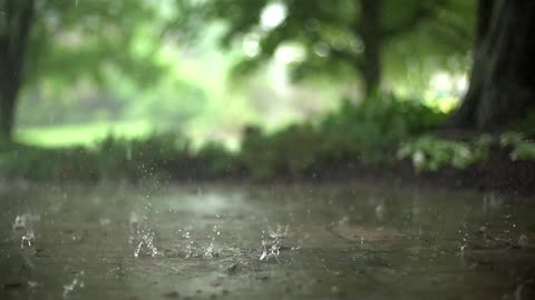 Raindrops in Super Slow Motion, Short Nature Video.