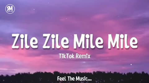 "Zile Zile Mile Mile" - TikTok || Remix Song (Lyrics)