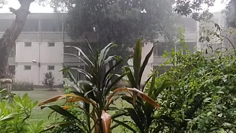 Rain Asmr, rainy day