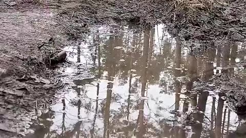 Hot Girl use her Bra to clean dirty water in forest