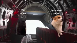 Call of duty with cat memes part 2