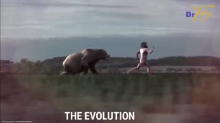 THE EVOLUTION OF APE