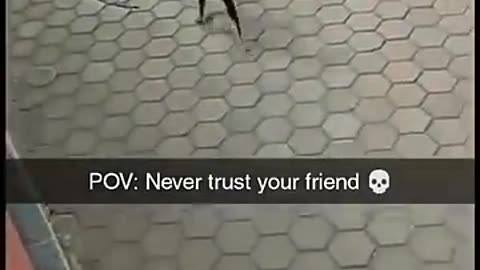 Don't trust your friend lol 😆