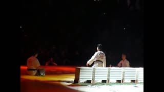 Keun Tae Lee - BUDO GALA 2010