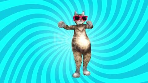 Cats funny dance