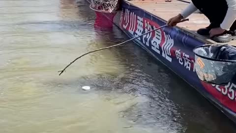 fishing video top