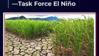 Mga lugar na nasa state of calamity, posibleng madadagdagan pa —Task Force El Niño
