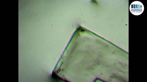 Chip assemblati nel vaccino Pfitzer - Visione al microscopio come quella in campo oscuro tedesca