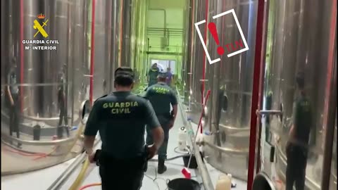 Roban 56 toneladas de aceite de oliva virgen extra en una almazara de Córdoba