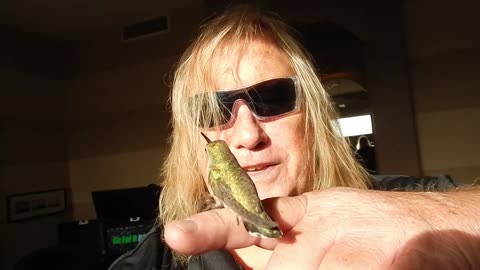 CHRISTIAN Man can hold WILD HUMMINGBIRDS on his FINGER