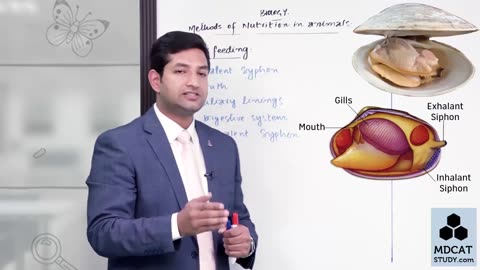 LEC#5 METHODS OF ANIMAL NUTRITION (PART-B)