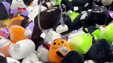 Halloween Squishmallow claw machine_ Sign us up.