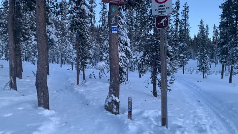 Starting Porcupine Snowshoe Loop – Central Oregon – Swampy Lakes Sno-Park – 4K