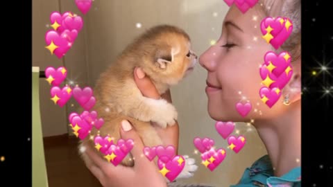 Beautiful dog baby video amazing very nice