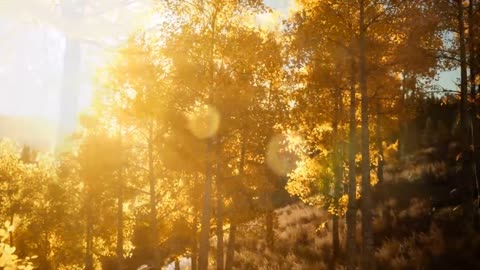 Enchanting Autumn Forests with Beautiful Piano Music