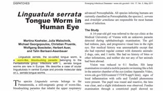 Tongue Worm in Human Eye