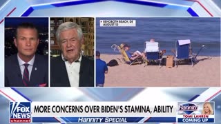 Newt Gingrich reveals who he believes is REALLY running the Biden White House