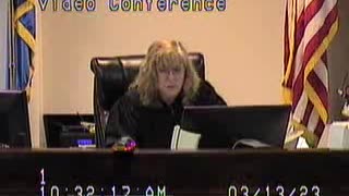 Loftis Matter before Michele Mercer Family Court Judge Clark County Nevada