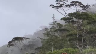 Mt Kiamo - Bukidnon, Philippines