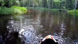 Patrick, my Service k9 first paddle trip