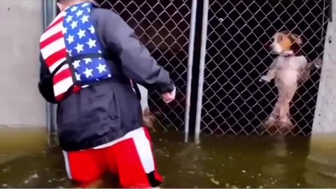 Dog being rescured after being abandoned in a loacked cage