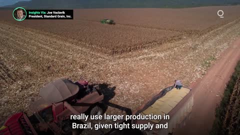 Brazil Forecasts Record Corn and Soybean Harvest