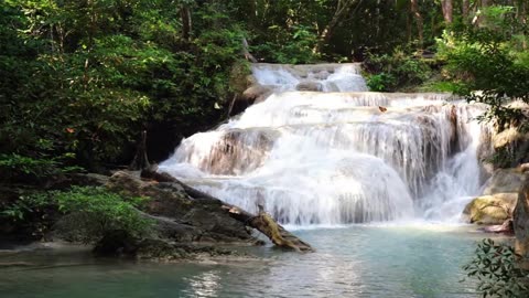 Live From The Waterfall Into The Forest