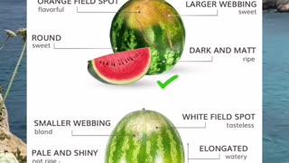 Discover the Expert Techniques for Choosing the Perfect Watermelon 🍉
