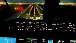 B787 Cockpit View Landing at Night