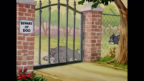 Tom and Jerry | Cartons