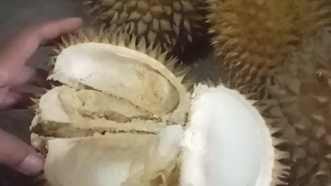 Durian manis