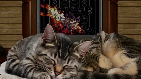 Calming Fireplace with Purring Cats