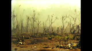 The Battle of Iwo Jima: The Color Footage