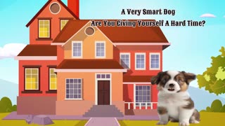 A Smart Dog Giving Advice.