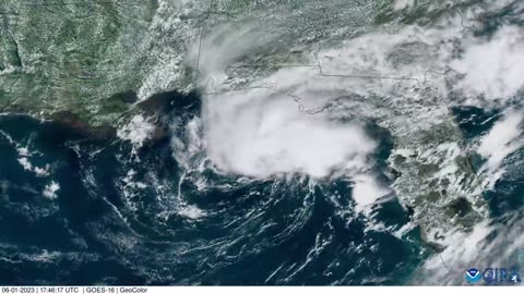 Tropical depression forms off west Florida coast