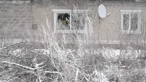 Elderly Ukrainians left behind in bombed-out village