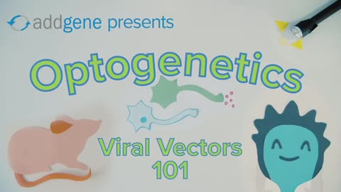 Optogenetics - Viral Vectors 101 (2020)
