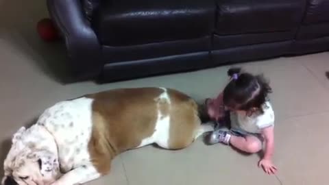 Hili & Boss 2(English bulldog and a baby)