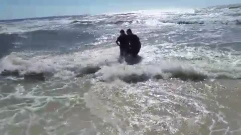 Valientes pescadores rescatan a un tiburón varado