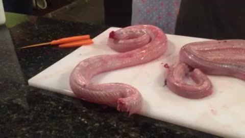 The Slithering Dead - Zombie Snake Is Not Your Dinner Tonight!