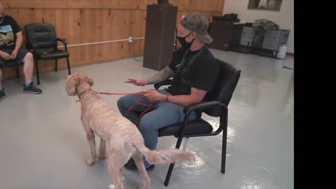 Seperation anxiety dog training