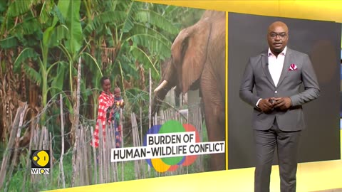 World Of Africa- Humans encroach wildlife habitats