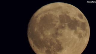 Stunning images show July's Buck supermoon light up skies around the world