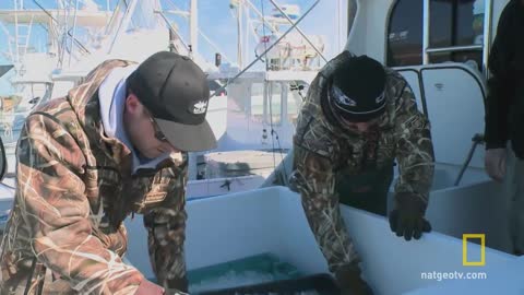 Catch of the Week - First Strike | Wicked Tuna: Outer Banks